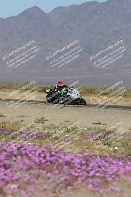 media/Feb-04-2023-SoCal Trackdays (Sat) [[8a776bf2c3]]/Turn 15 Inside Blooming (1050am)/